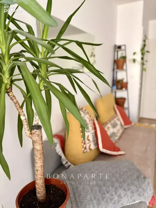 Angers / secteur ney - appartement / 1 chambre - proche commodites - photo 3