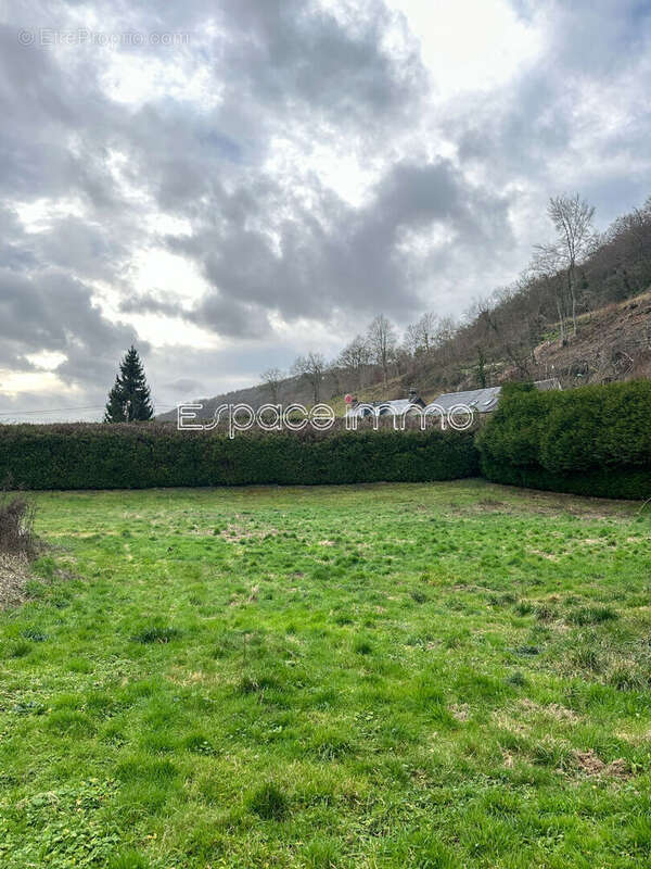 Terrain à MONTVILLE