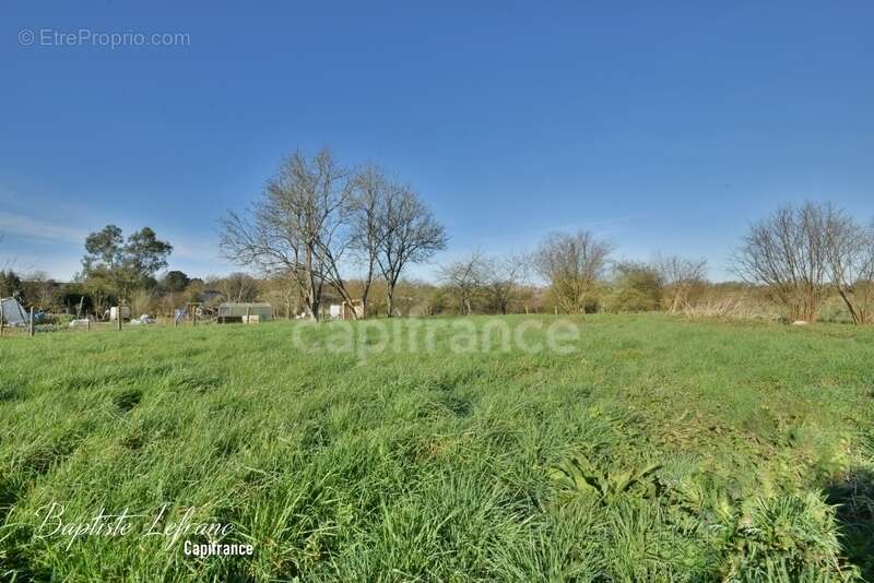 Maison à CHATEAUNEUF-SUR-SARTHE