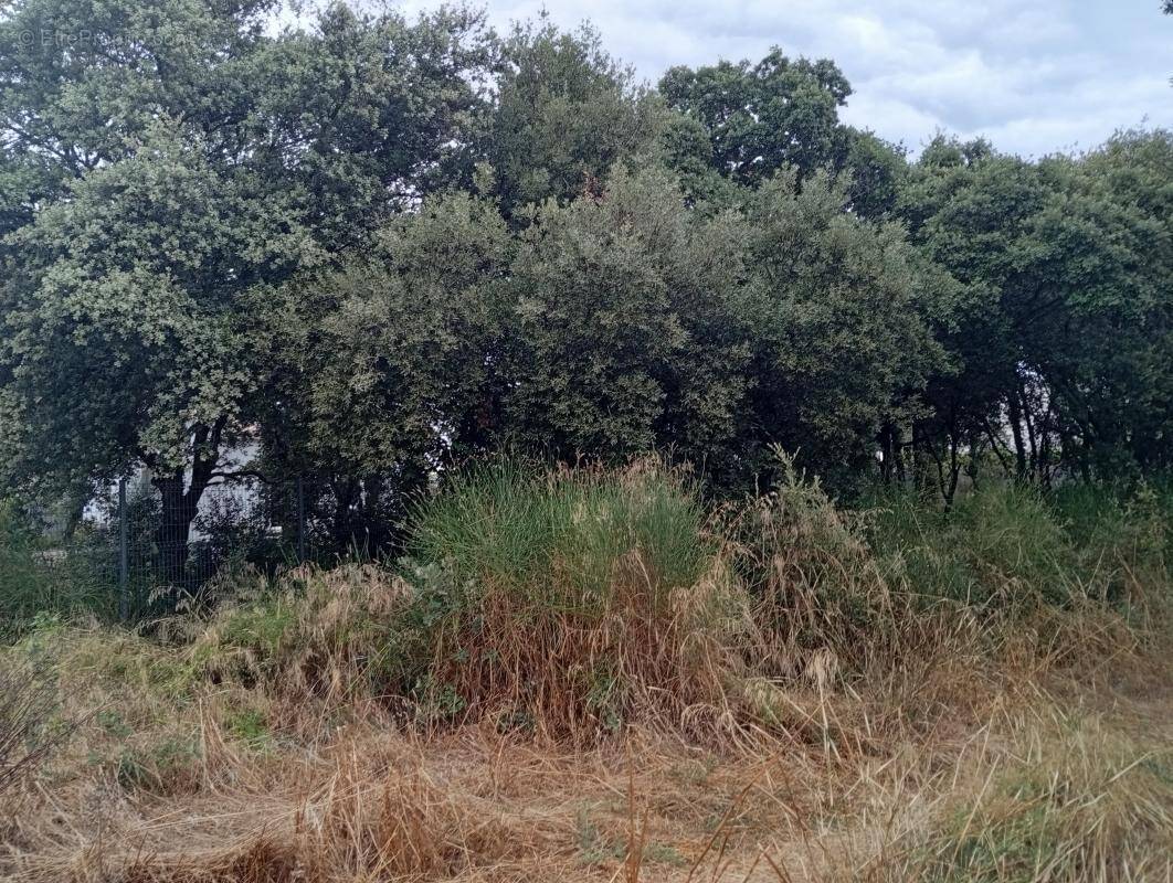 Terrain à ROCHEFORT-DU-GARD