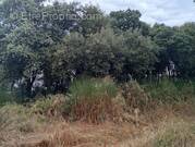 Terrain à ROCHEFORT-DU-GARD