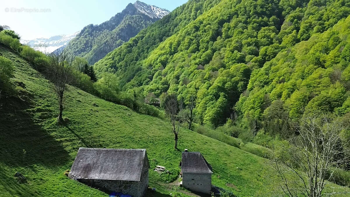 Propriété rurale,3 granges,5 Ha,source,09800 - photo 2