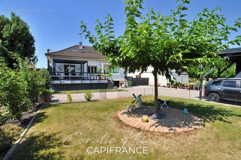 Maison à SAINT-LOUIS