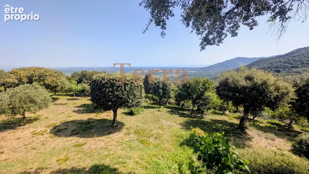 Laroque des Albères - Superbe mas avec vue fantastique sur la plaine du Roussillon - photo 12