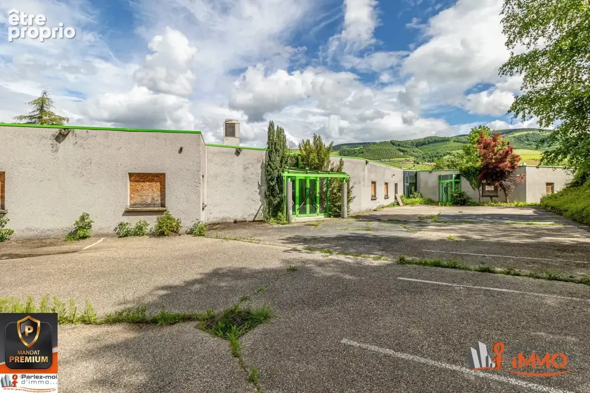 Immobilier Professionnel à vendre Brussieu - photo 4