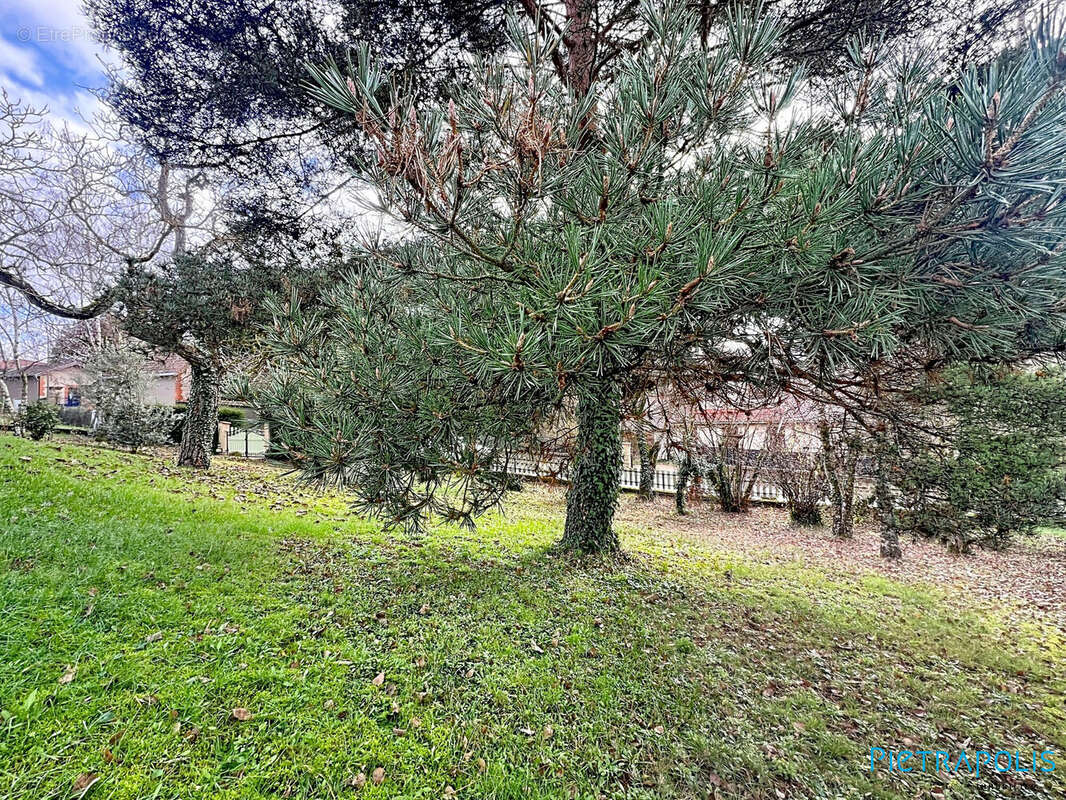 Terrain à PONTCHARRA-SUR-TURDINE