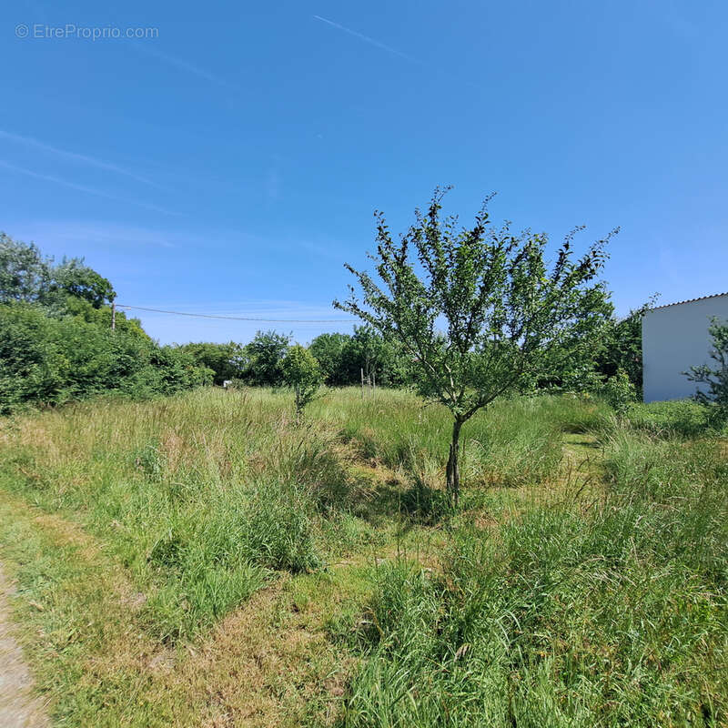 Terrain à vendre   Saint-Saturnin-du-Bois - photo 2