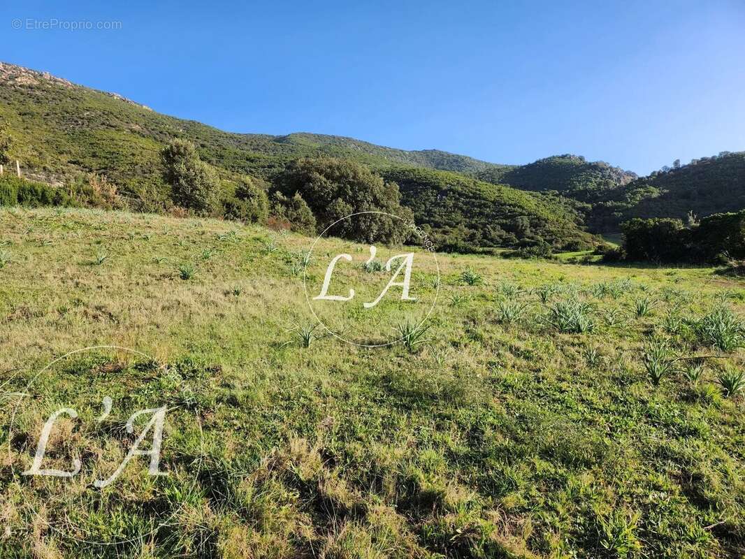 Terrain à BASTELICACCIA