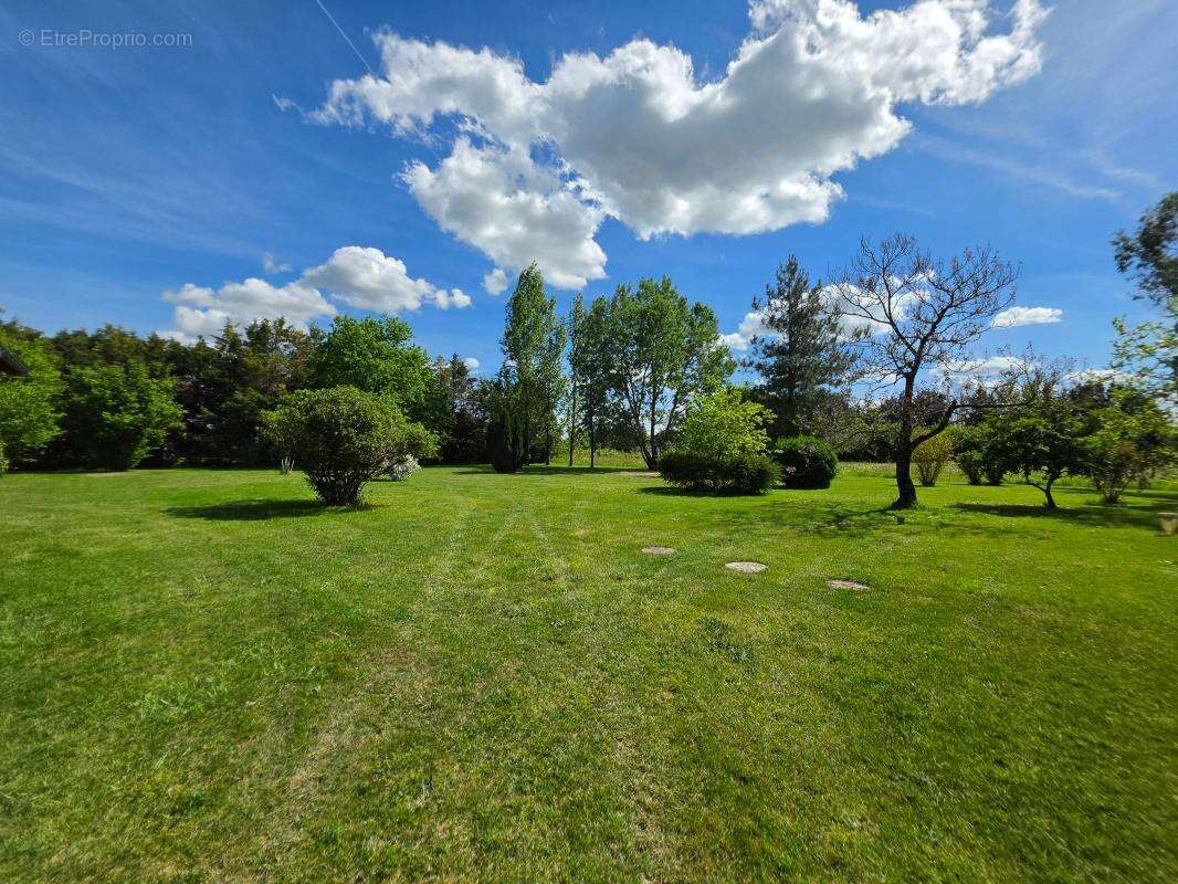 Maison à CASTETS-EN-DORTHE