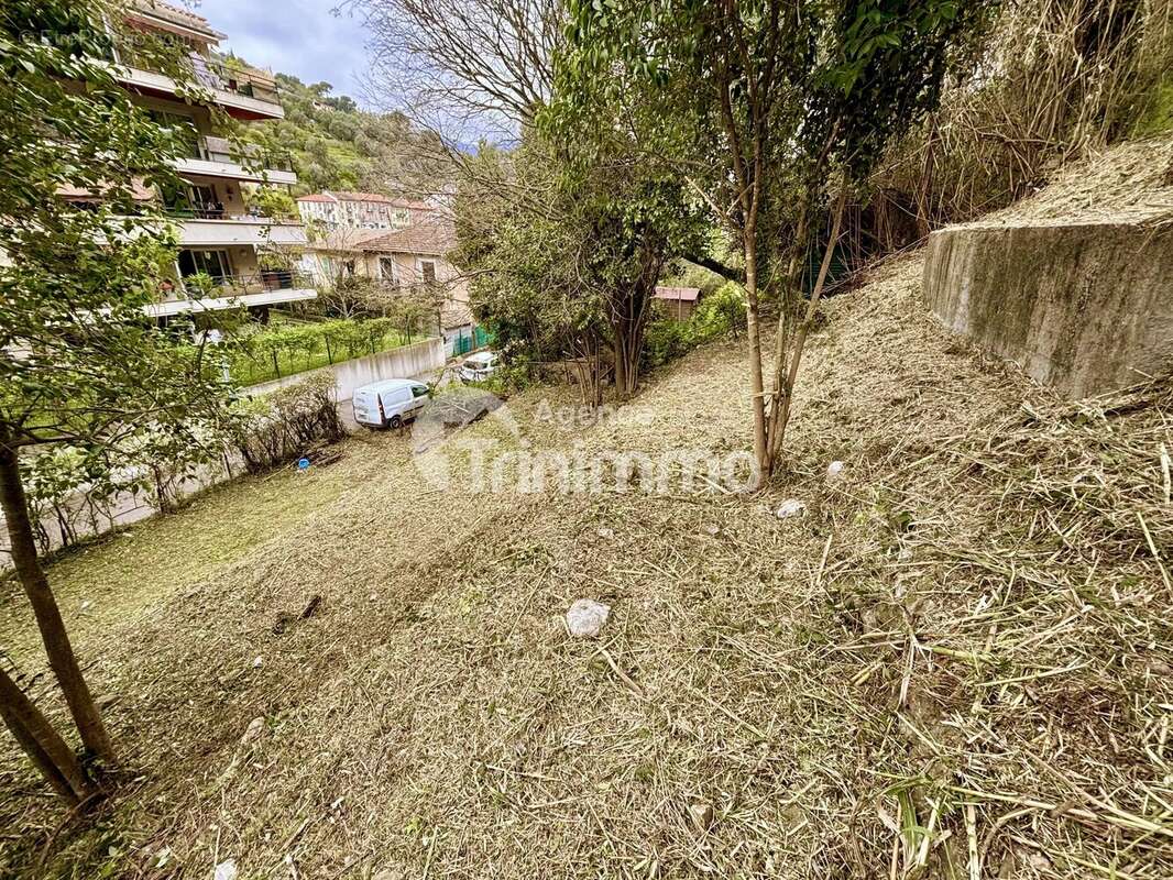 Terrain à SAINT-ANDRE-DE-LA-ROCHE