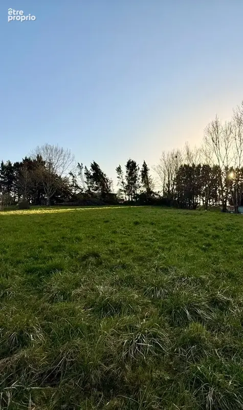 Terrain à SAINT-NEXANS