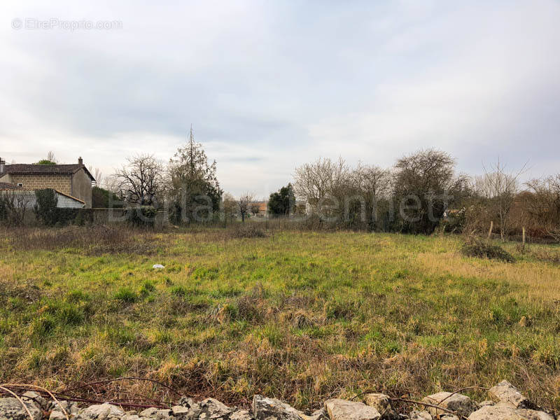 Terrain à PAIZAY-LE-CHAPT