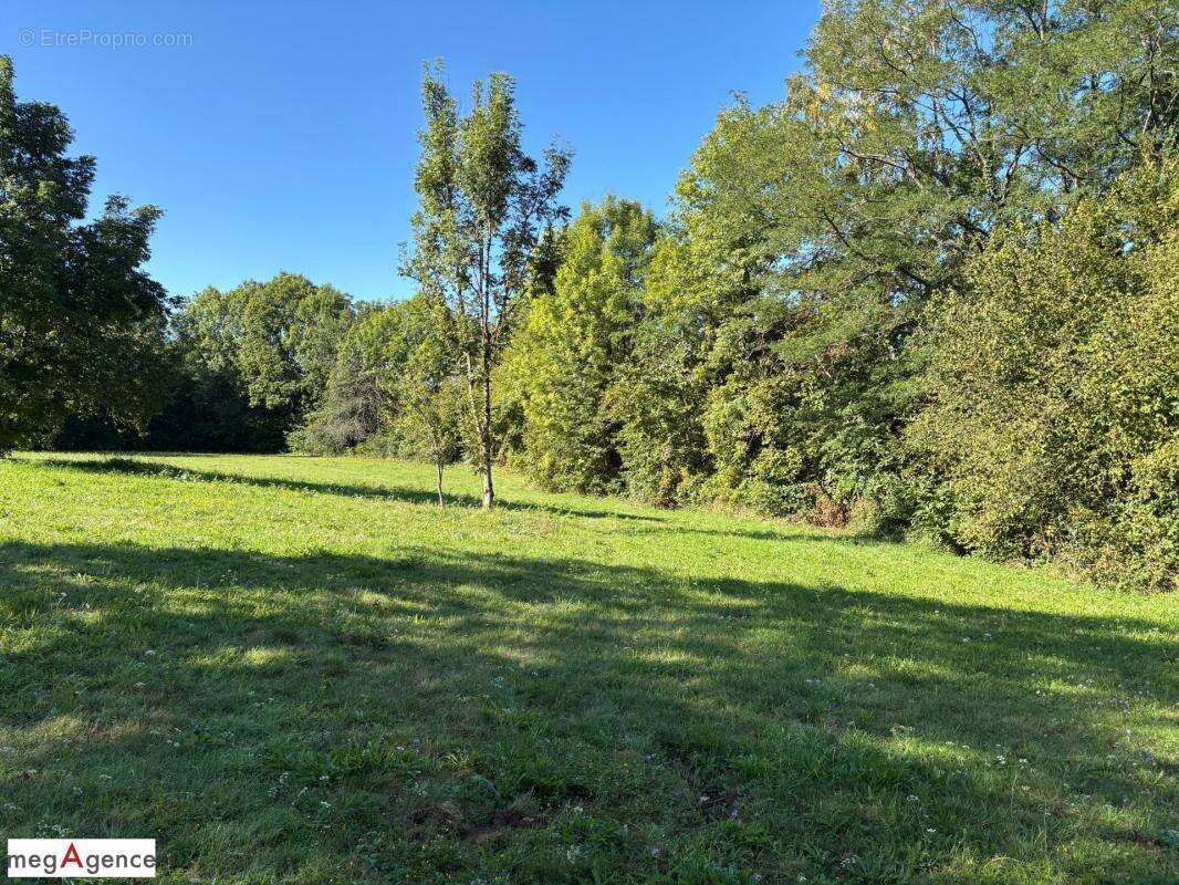 Terrain à SAINT-GERMAIN-LES-VERGNES