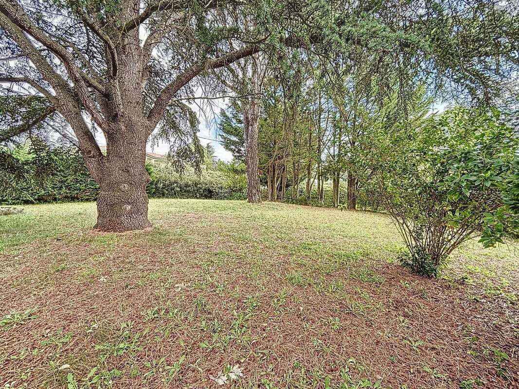 Photo 8 - Maison à AYGUESVIVES