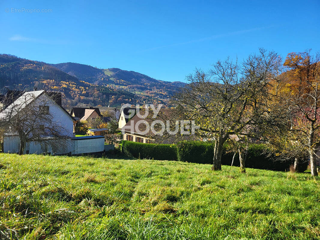 Terrain à OBERBRUCK