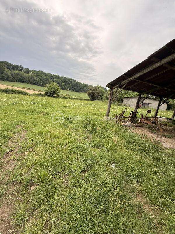 Maison de 172 m² - dépendances - 4172 m² de terrain - photo 7