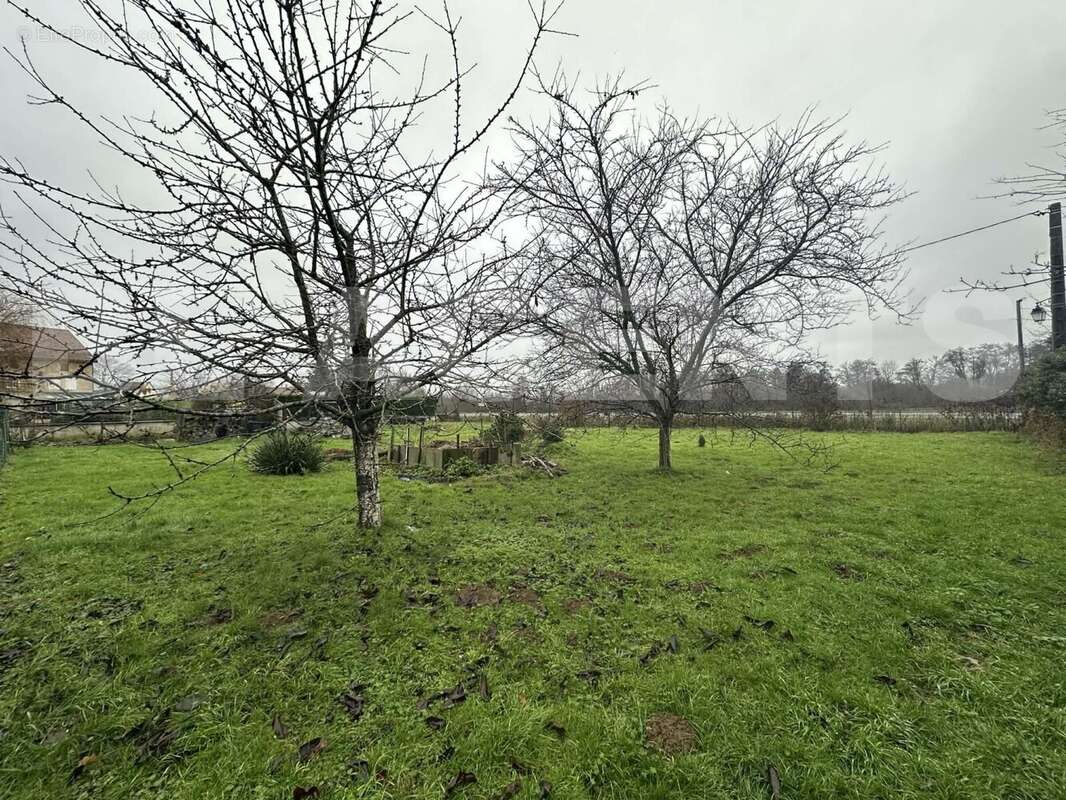 7014035b-0d3e-4b20-bd5d-09ef42332257 - Terrain à AUTRECOURT-ET-POURRON