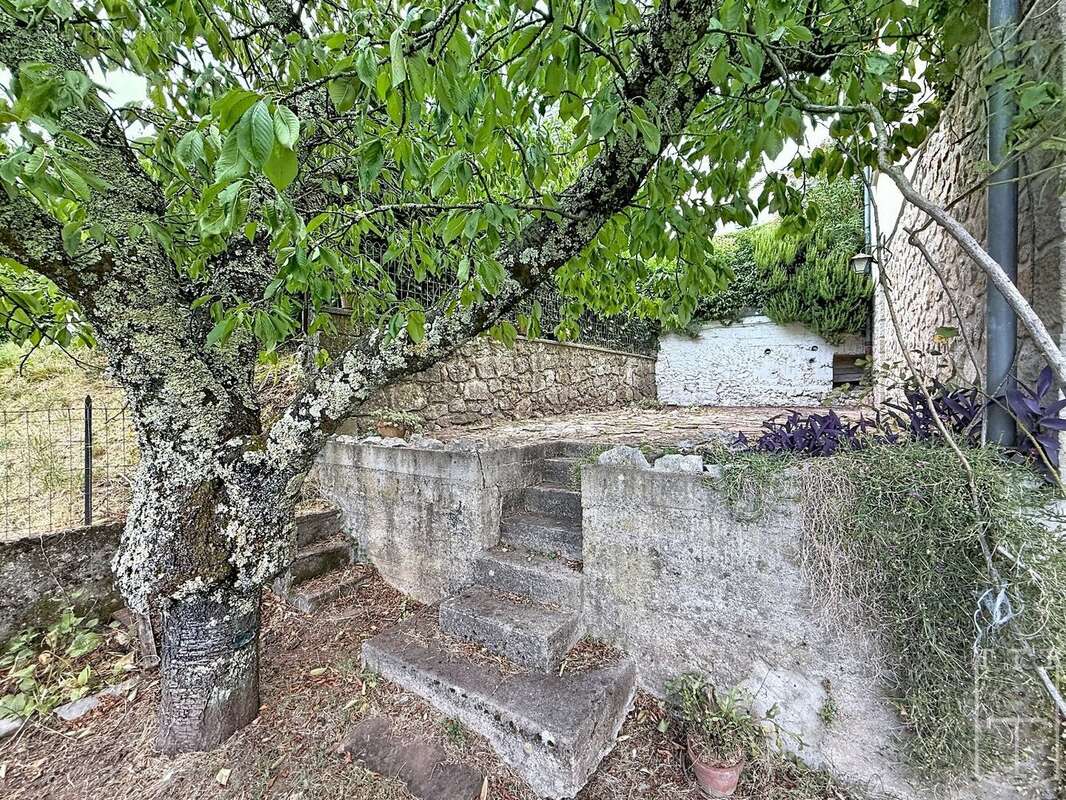La tradition des terrasses ardechoises - villa 3 chambres - photo 13