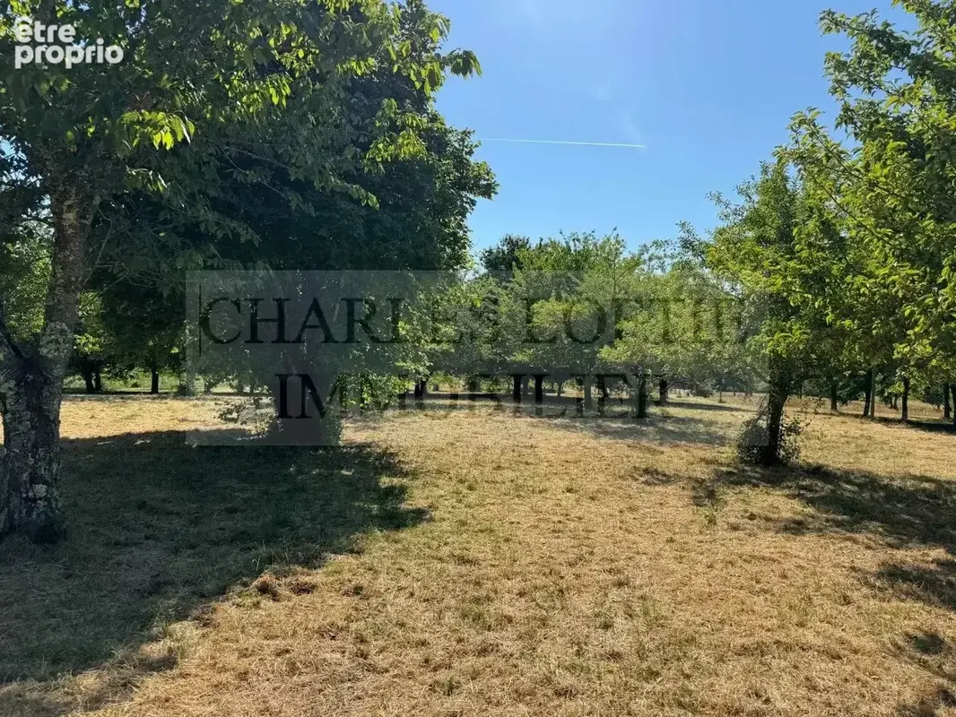 Belle propriété de caractère en pierre avec dépendances et gîte indépendant, 2.8 ha de terrain - photo 28