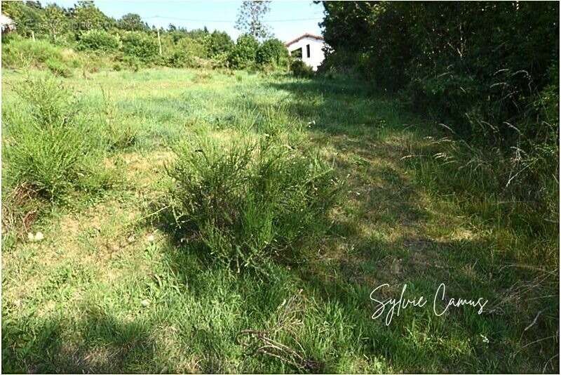 Terrain à vendre de 1 300,00 m² SAINT PAL DE MONS (43) - photo 3