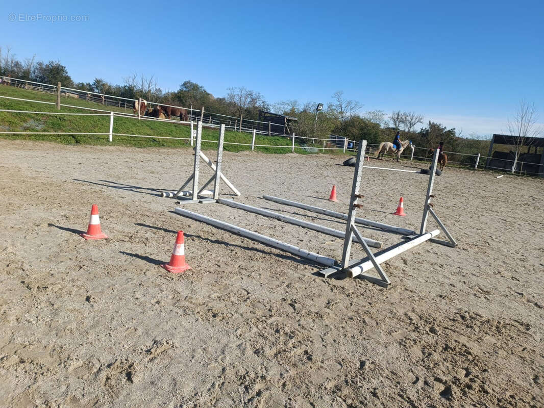 CINTEGABELLE- Fonds de commerce pension de chevaux et poney club - photo 4