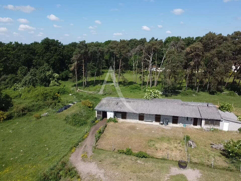 Maison à BRAY-EN-VAL