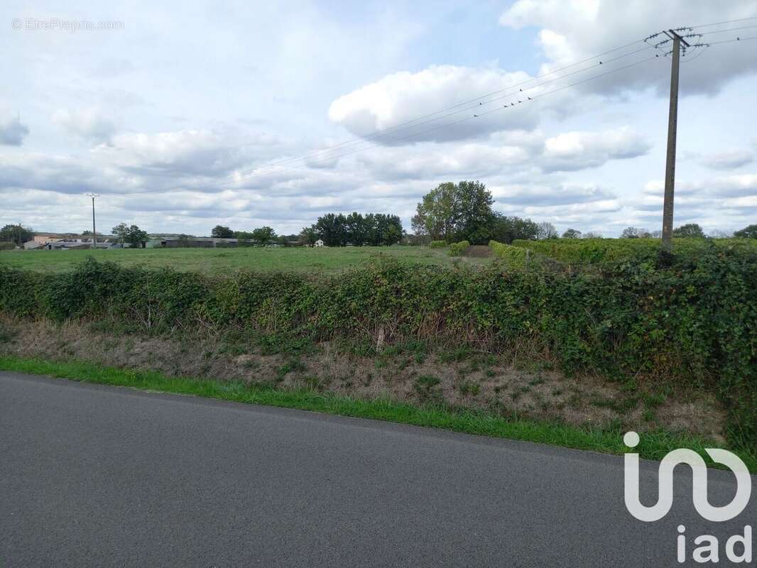 Photo 3 - Terrain à SAINT-CYR-DES-GATS