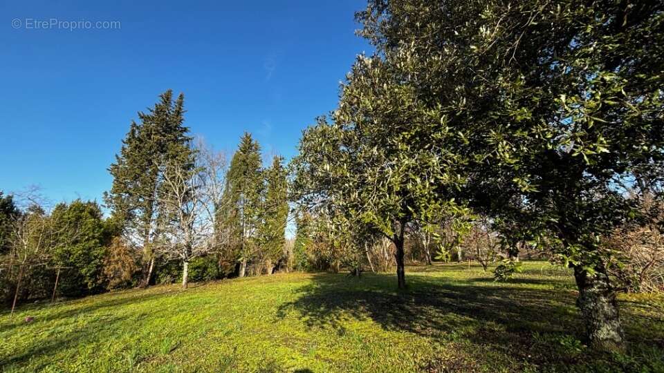 Terrain 2500 m² à Latresne  - photo 2