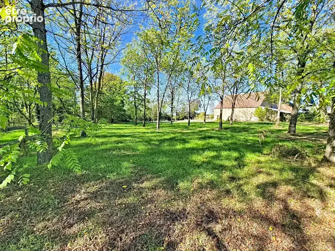 Maison 6 pièces 250 m² à vendre à Chateaumeillant (18370) - photo 28