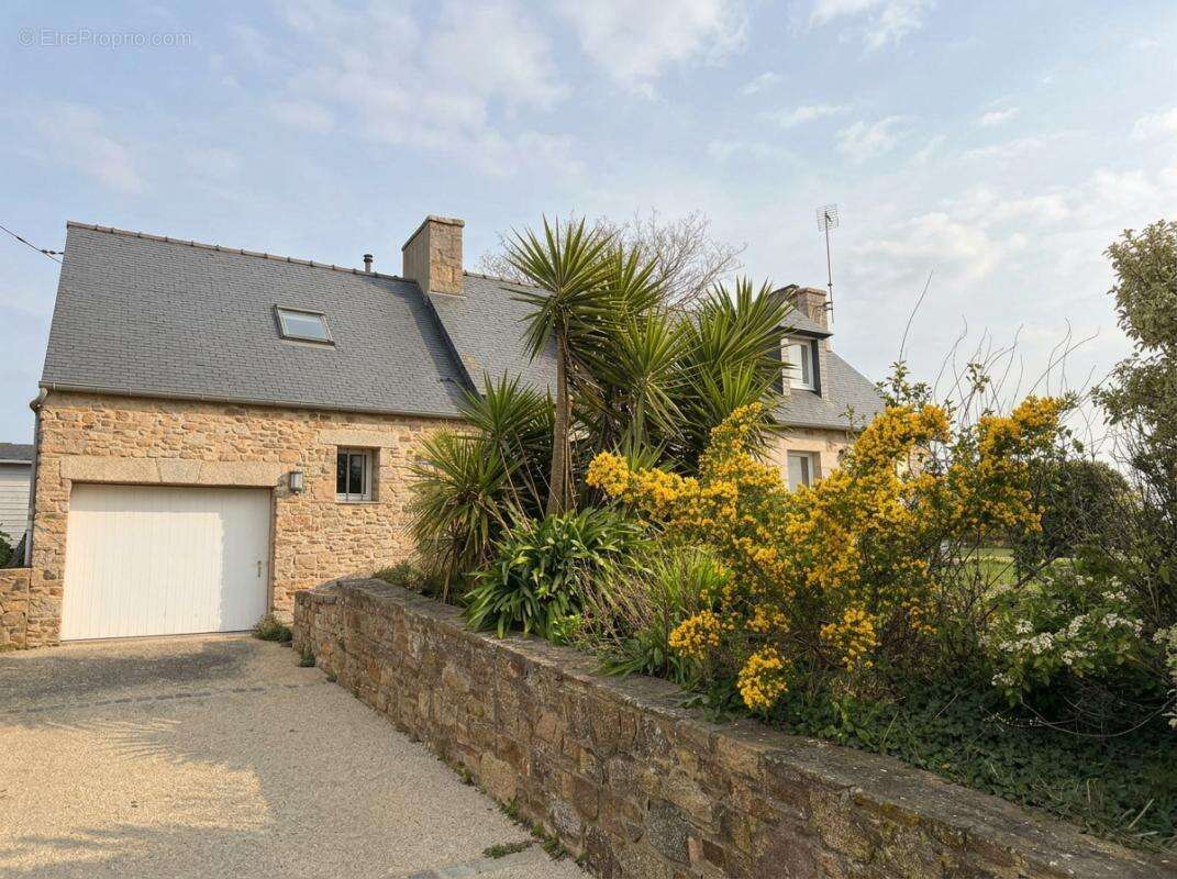 Maison à LEZARDRIEUX