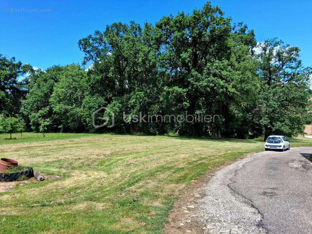 Maison de caractère de 130 m² avec hangar de 300 m² – Terrain de 8 391 m² – Dolmayrac - photo 10