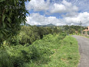 Terrain à SCHOELCHER