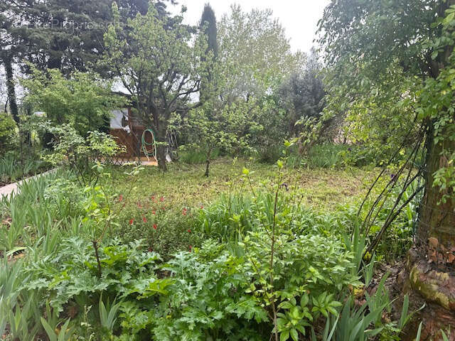 Maison à PERNES-LES-FONTAINES