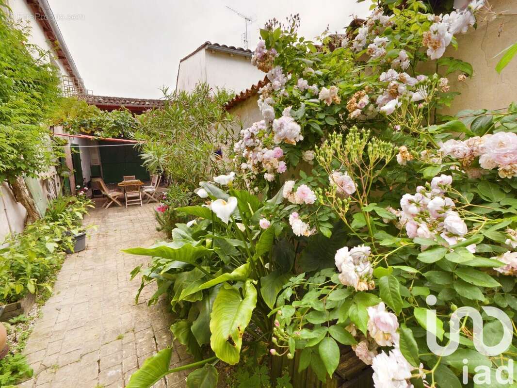 Photo 7 - Maison à LA FLOTTE