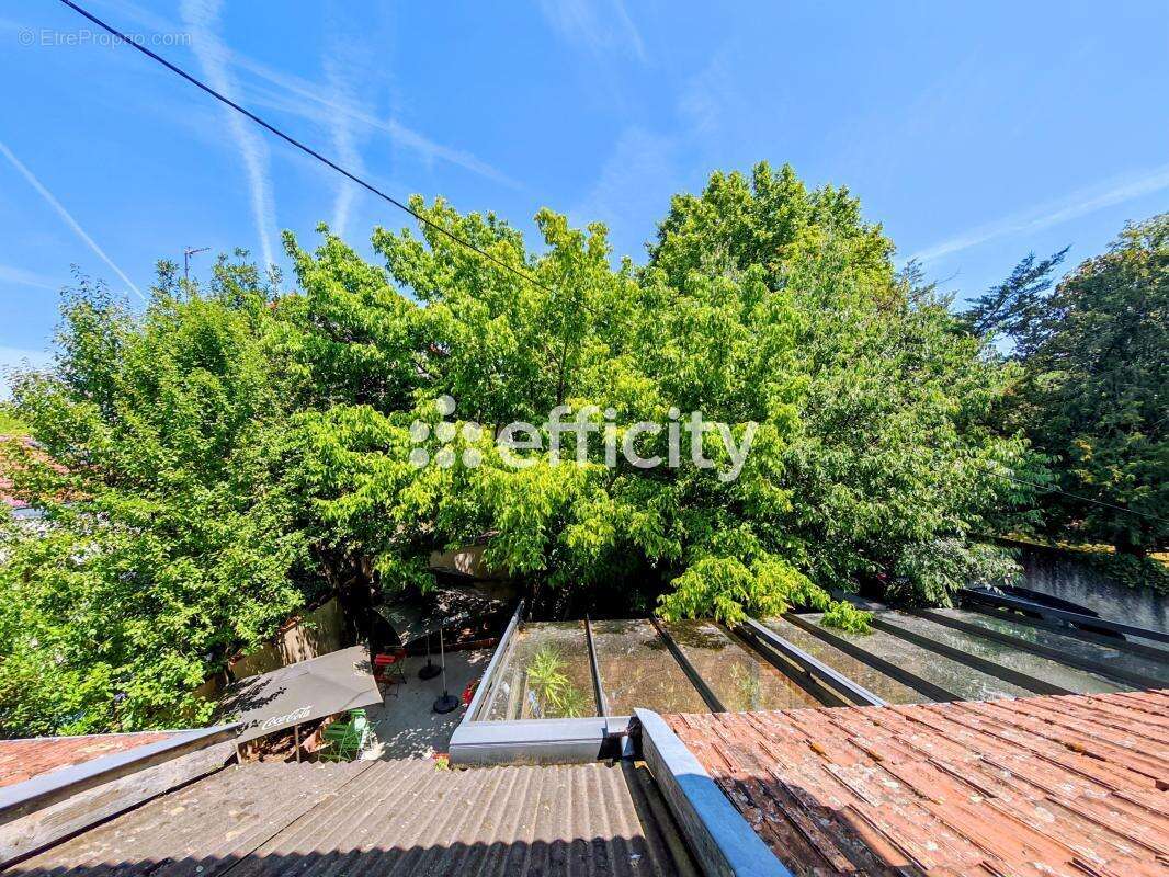 Appartement - photo 3