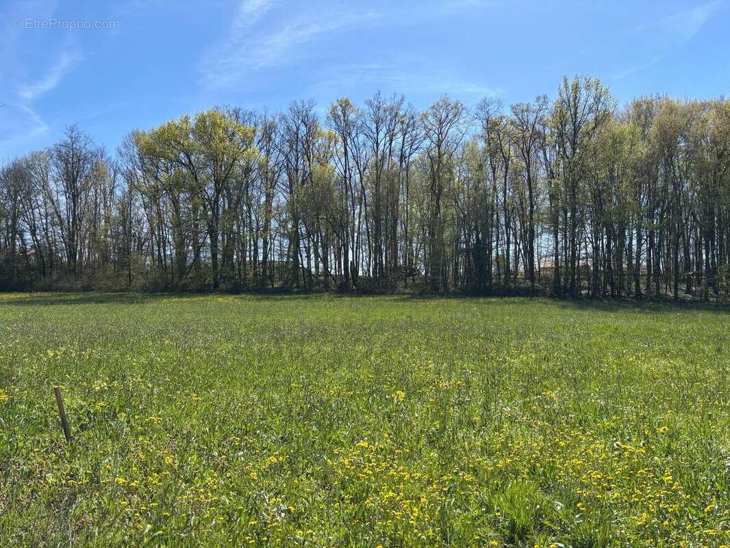 Photo 2 - Terrain à LE VIGAN