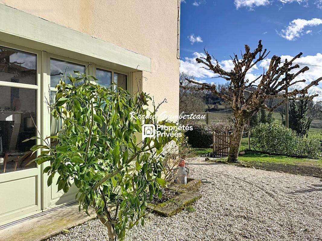 Maison à SAINT-EMILION