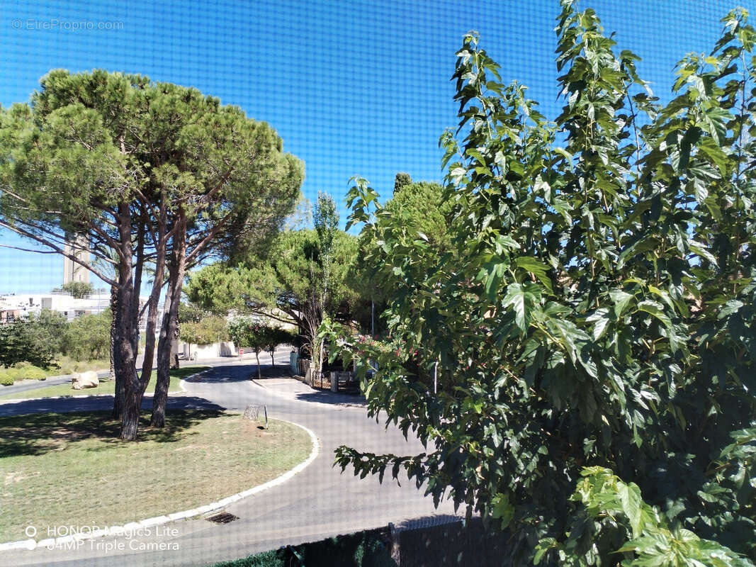 Maison 45 m² à Le Grau-Du-Roi  - photo 2
