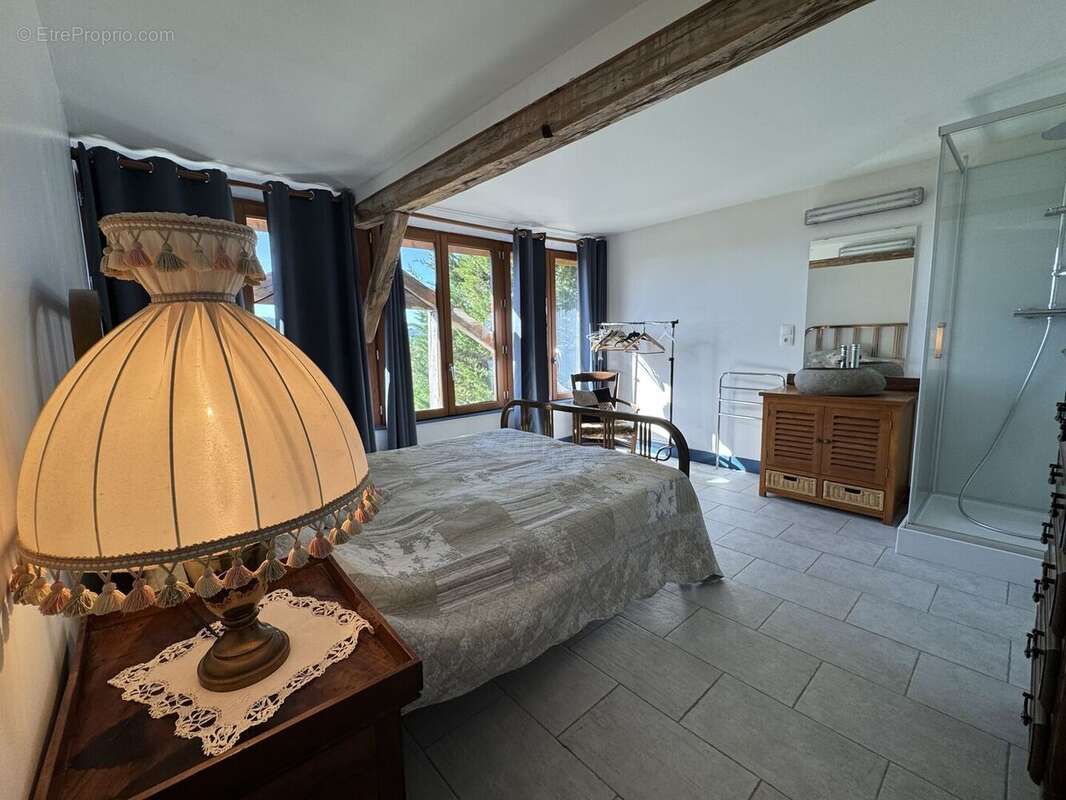IMG2835 - Maison à SAINT-CYPRIEN