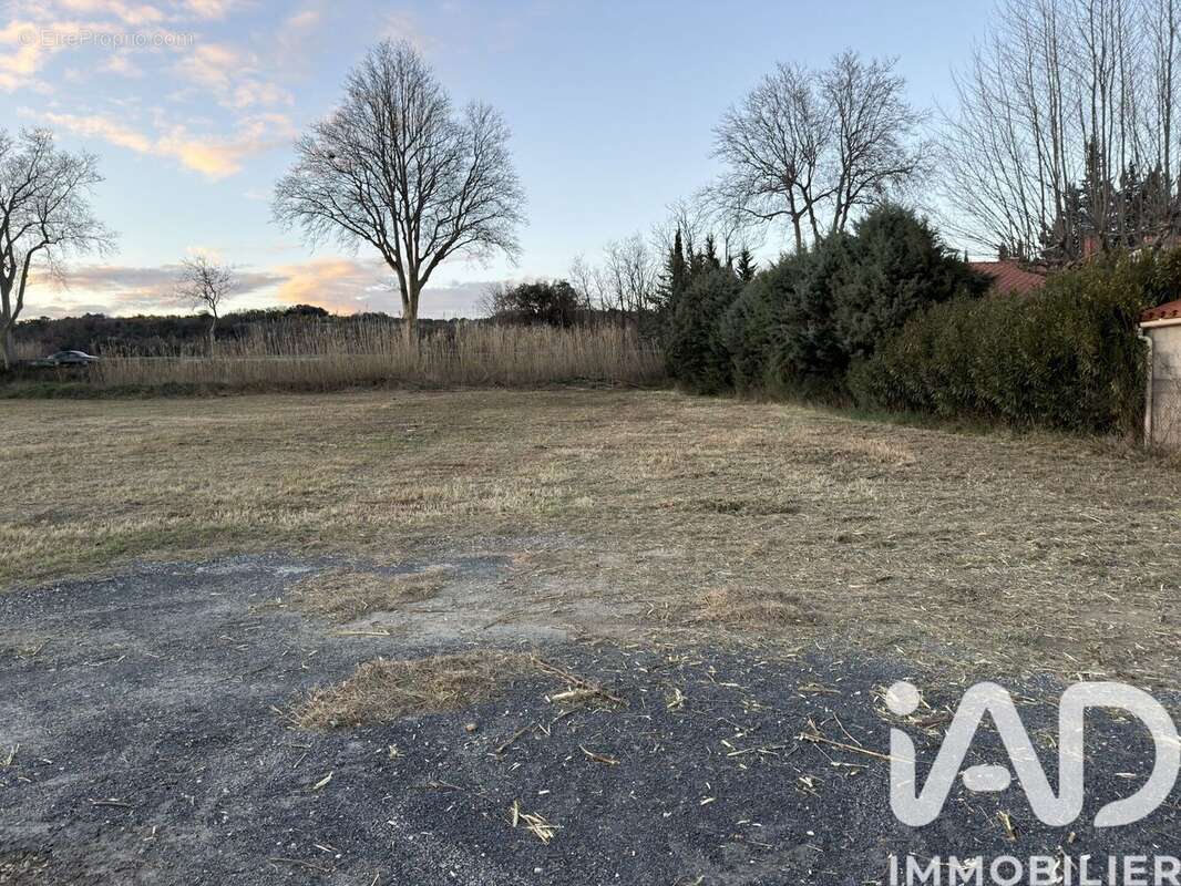 Photo 2 - Terrain à SAINT-JEAN-PLA-DE-CORTS