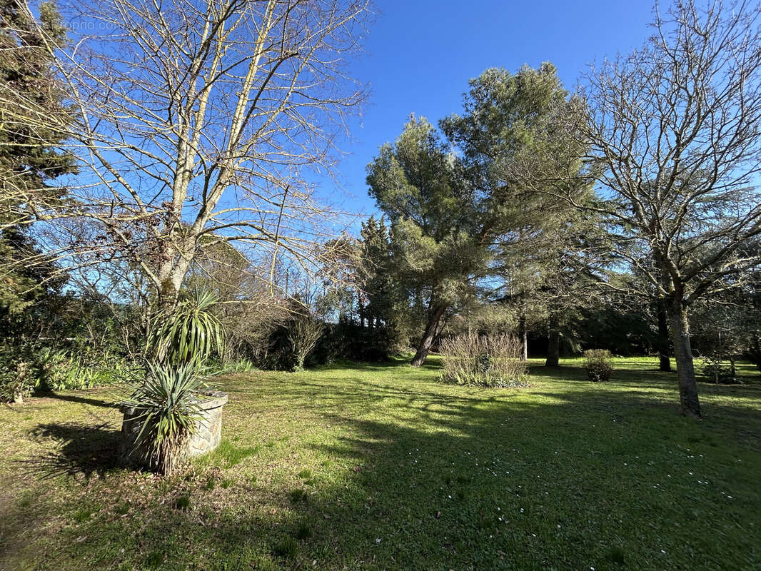 Rare et exceptionnel : Maison 4 chambres avec piscine et grand terrain au cœur de Bram. - photo 14