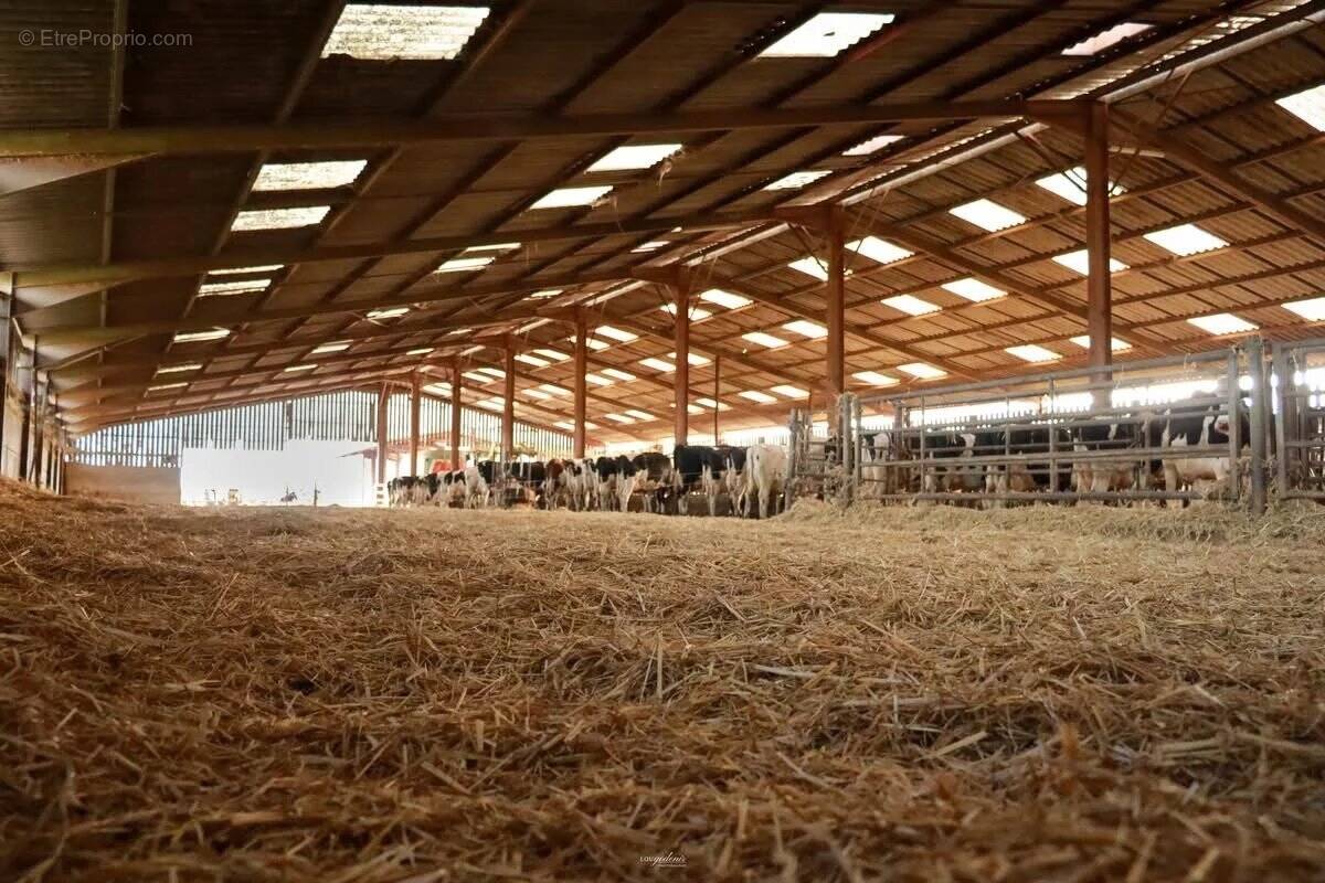 Maison à FRESNES-EN-WOEVRE