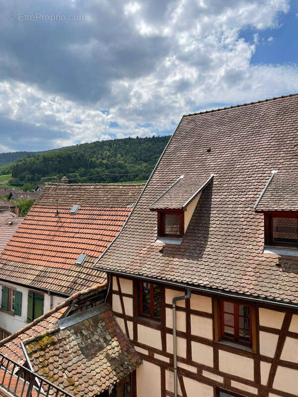 Triplex de 50,80m2 - Maison typique Alsacienne - photo 7