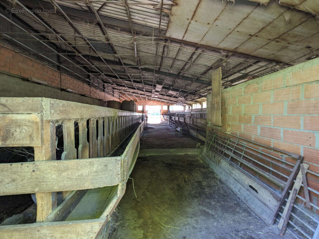 Maison à ARPHEUILLES