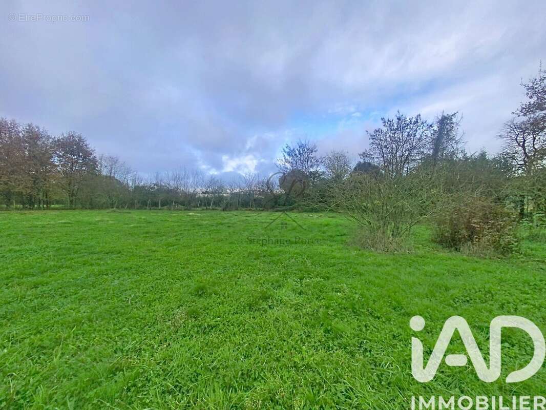 Photo 3 - Terrain à ALBIAS