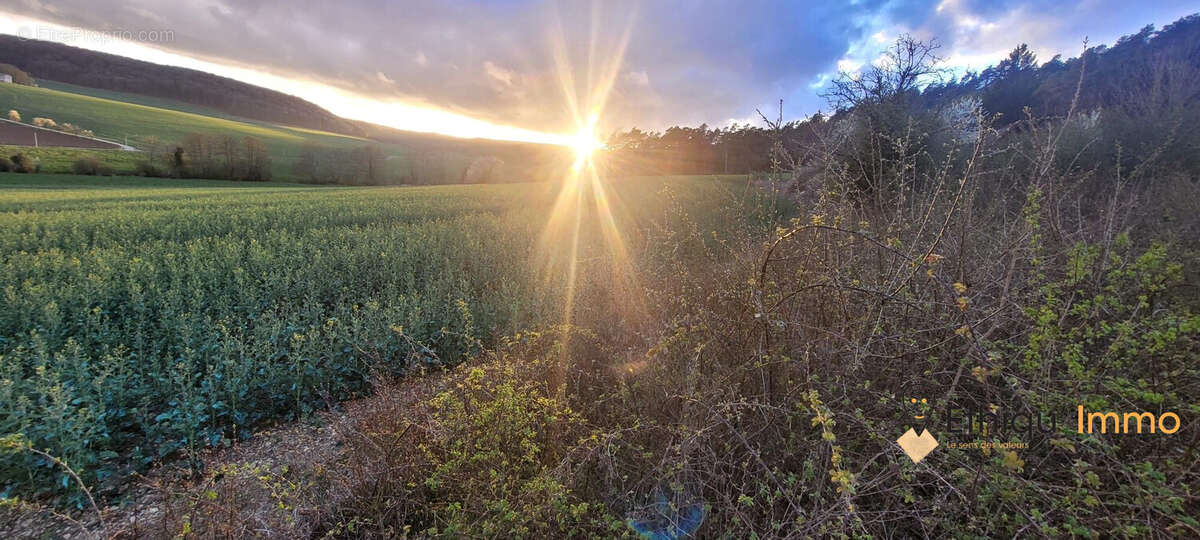 Terrain à SONCOURT-SUR-MARNE