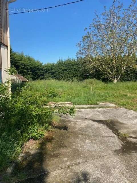 Commerce à VENERQUE