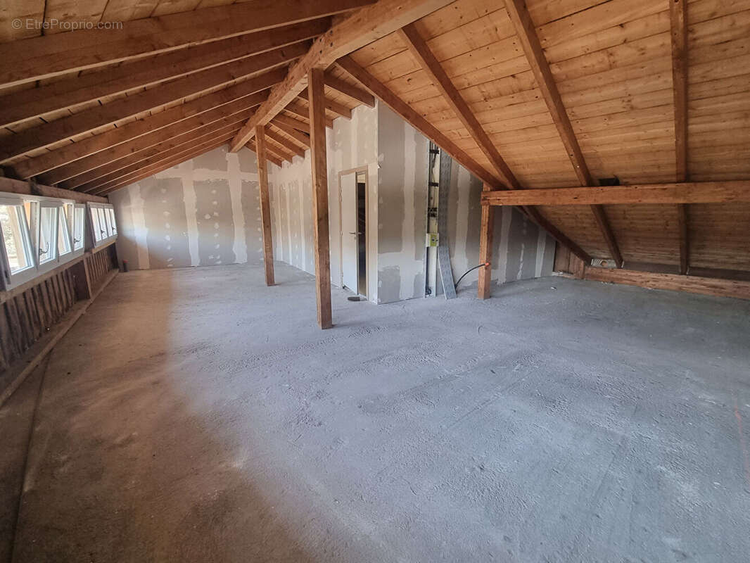 À saisir plateau à aménager aux fins - 50m² - 15 minutes de la frontiere suisse - photo 4
