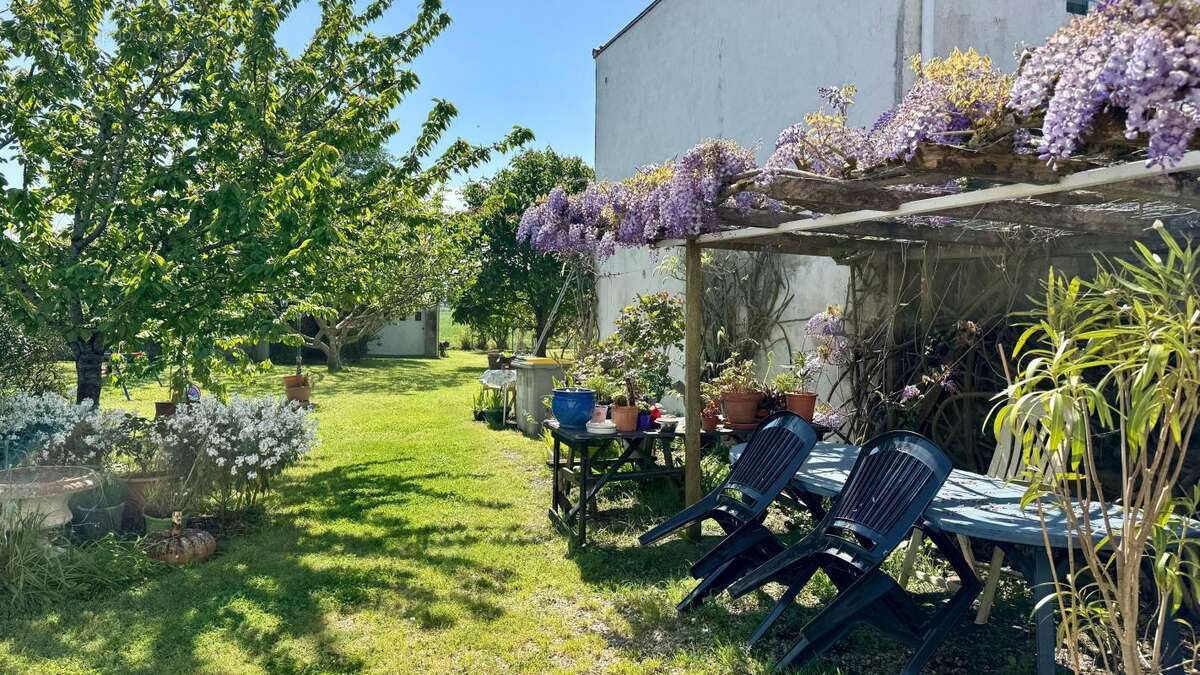 Immobilier Ile de Ré - Saint-Clément-des-Baleines - photo 4