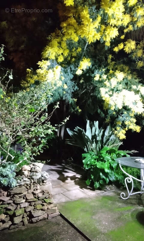 maison tanneron avec terrain en restanque - photo 6